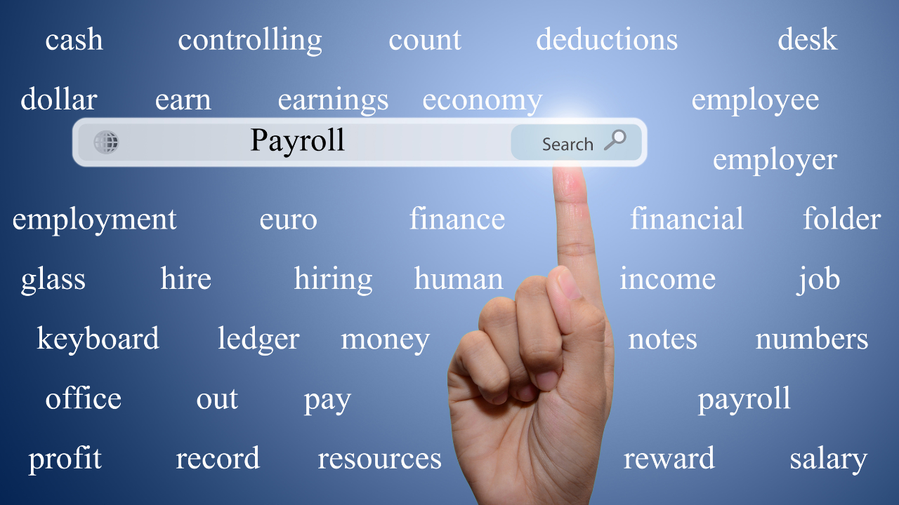 What is Payroll System Software?